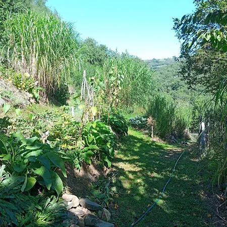 L'oasis Du Bosc * Viala-du-Tarn