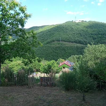 L'oasis Du Bosc Viala-du-Tarn