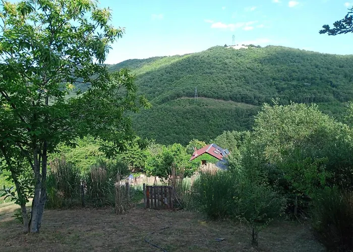 L'oasis Du Bosc Viala-du-Tarn
