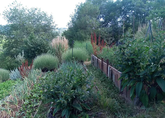 L'oasis Du Bosc Casa rural Viala-du-Tarn