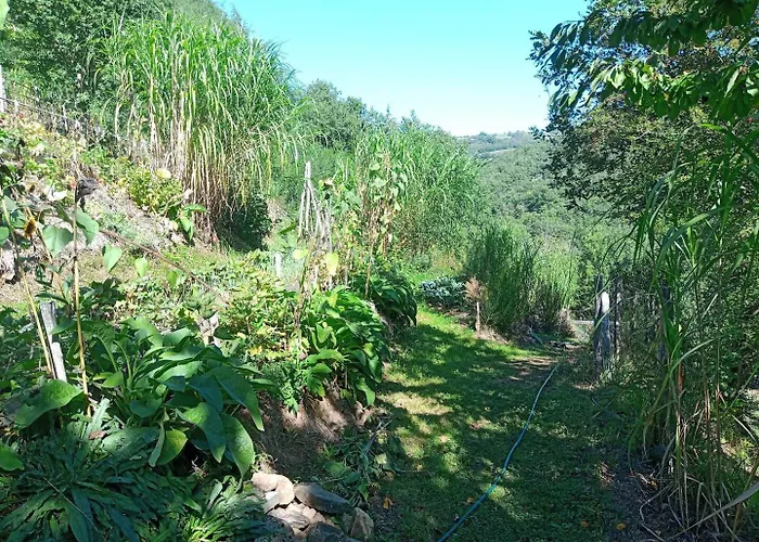L'oasis Du Bosc * Viala-du-Tarn
